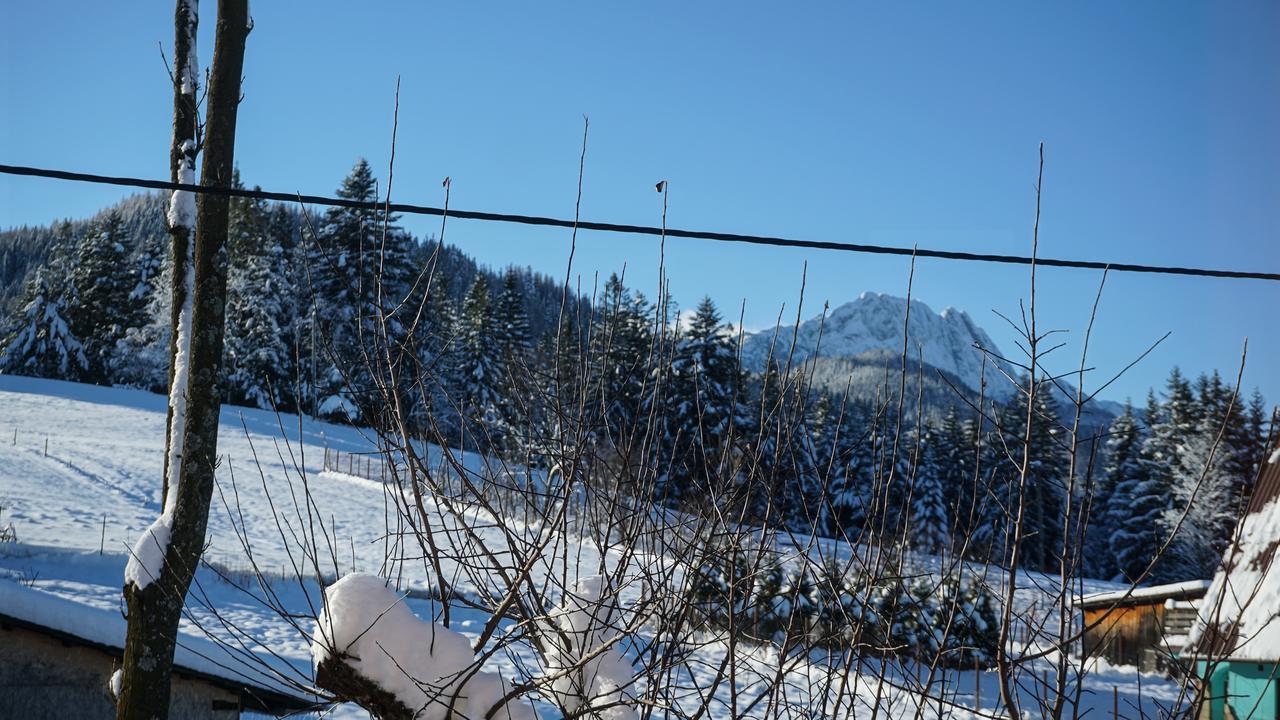 Msc Apartments Honeymoon Zakopane Exterior foto
